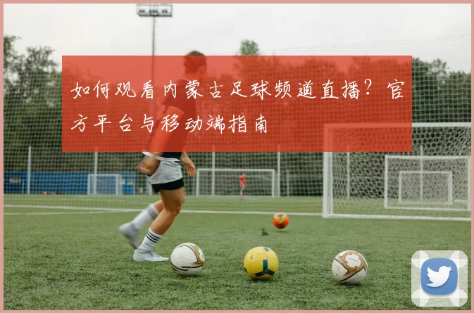 如何观看内蒙古足球频道直播?官方平台与移动端指南