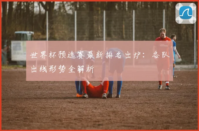 世界杯预选赛最新排名出炉:各队出线形势全解析