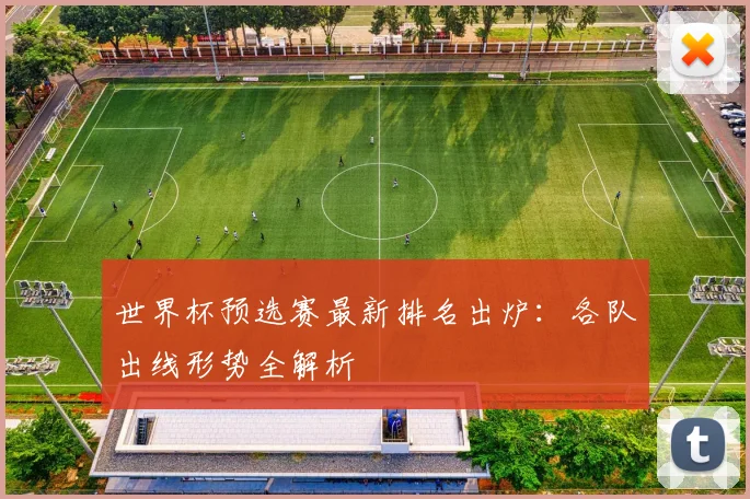 世界杯预选赛最新排名出炉:各队出线形势全解析